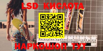 ПСИЛОЦИБИНОВЫЕ ГРИБЫ Жуковский