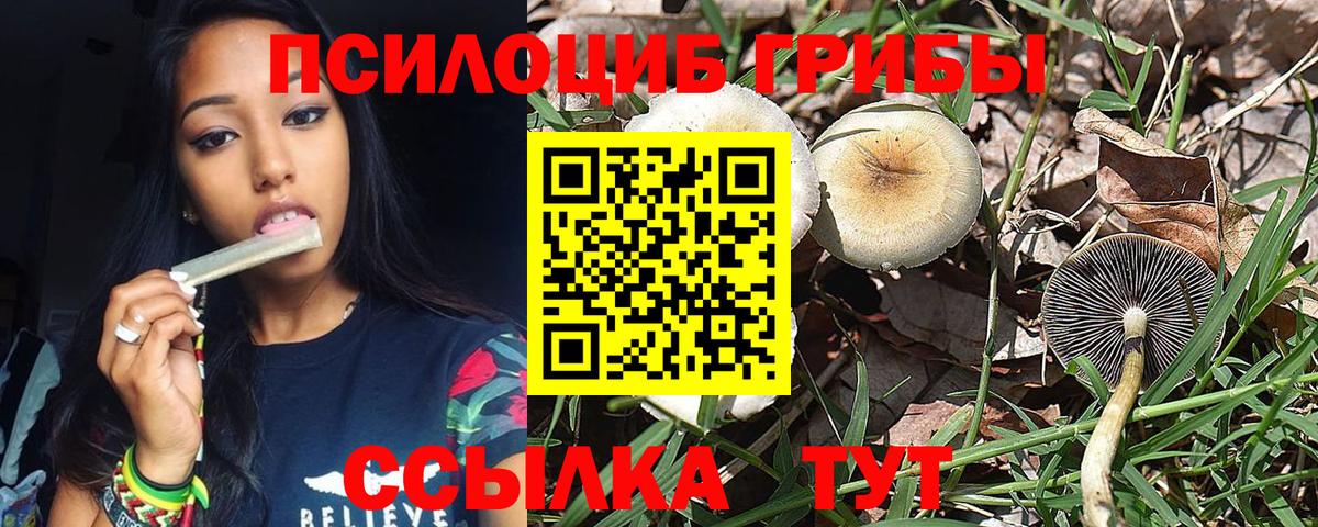 Галлюциногенные грибы GOLDEN TEACHER Янаул