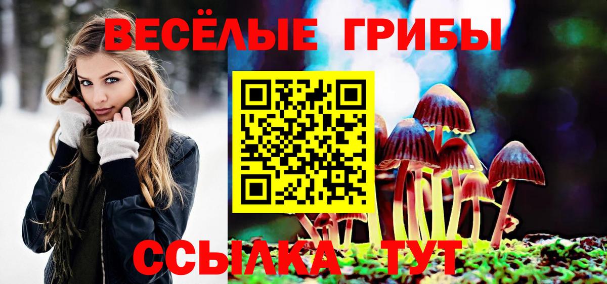 где купить   Галлюциногенные грибы Psilocybine cubensis  Вход с VPN  Янаул 